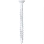 White Phillips Flat Head Tapcons