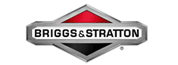 Briggs and Stratton